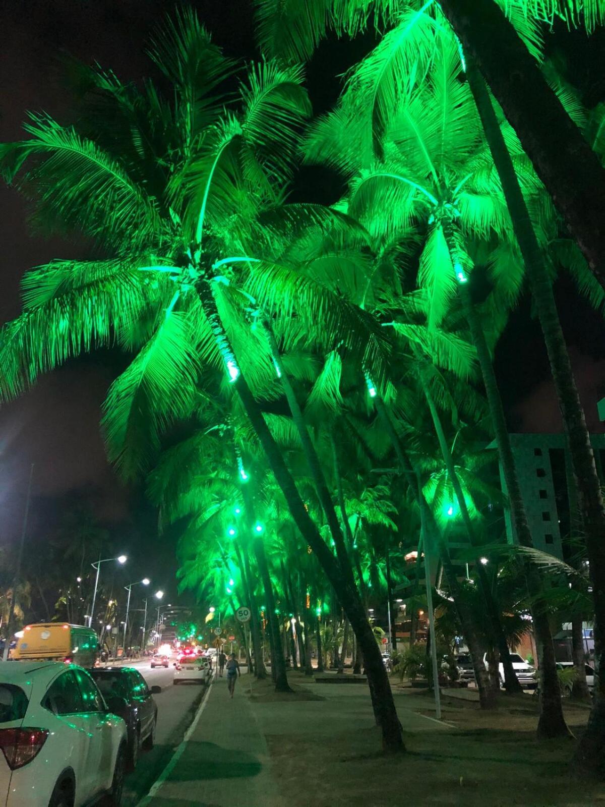 Apartment Sea Tower 201 - St-21: Duplex Vista Mar Da Pajucara Superhost